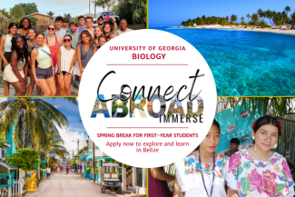 Connect Abroad