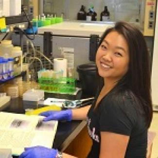 Jenny Kim (Dr. Mike Terns lab)