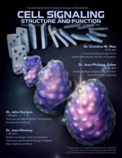 A flyer for the 2021 BMB Mini-symposium, Cell Signaling Structure and Function