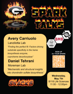 May 2025 SPARK