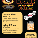 November SPARK Flyer