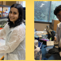 Anjali Shenoy and Javid Aceil in the lab